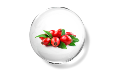 Rosehip fruit oil