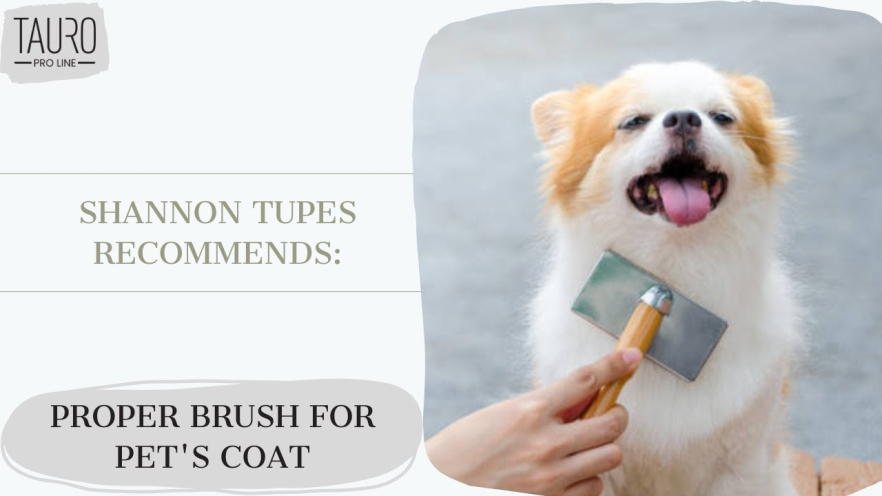 Video TAURO PRO LINE Brush wooden, rectangular shape teeth 11 mm, mint, S, 7 x 16 cm - 1