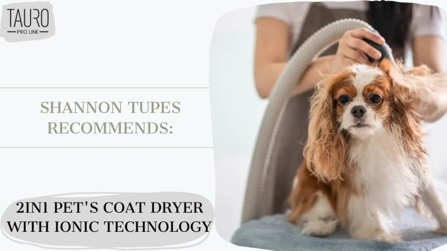 Video TAURO PRO LINE pet coat dryer IONIC Technology white - 1
