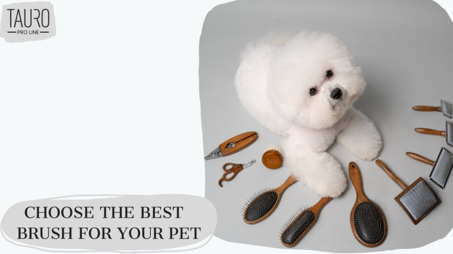 Video TAURO PRO LINE Brush massage oblong wooden, 4 x 6 x 1.5 cm - 1