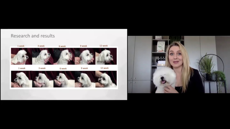 Video NATURE'S PROTECTION SUPERIOR CARE dry food for adult, small and mini breed dogs with white coat, with lamb 1.5 kg - 2