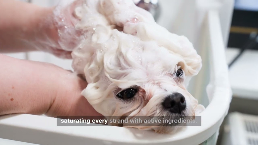 Video TAURO PRO LINE Ultra Natural Care deep clean shampoo for dogs and cats  skin and coat 400 ml - 1