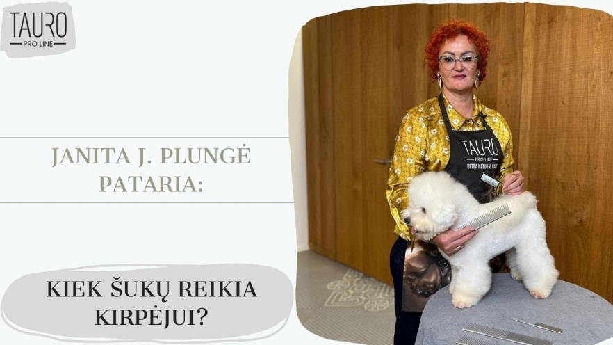 Video TAURO PRO LINE Comb metallic, sparse and dense teeth, L, 24.5 cm - 1