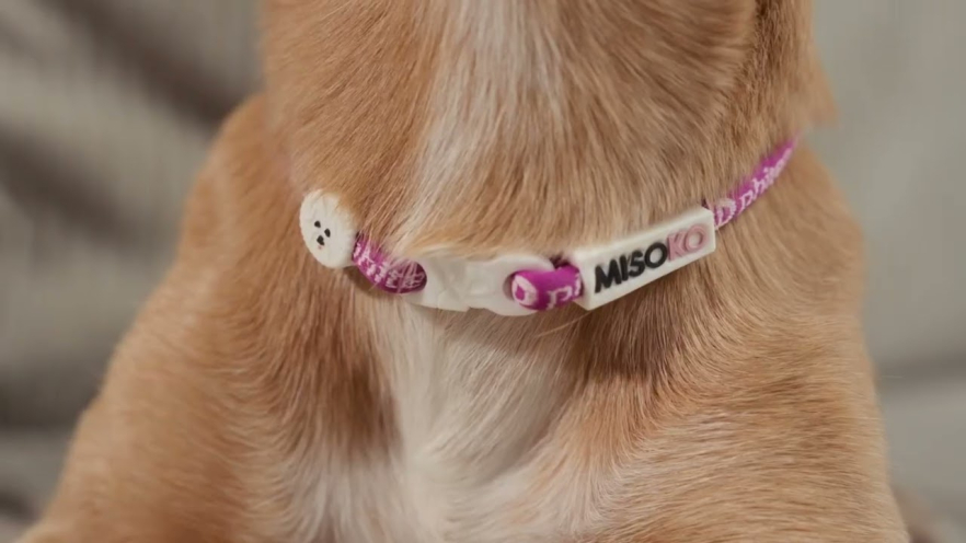 Video PHITEN x MISOKO METAX Necklace for Humans and Pets, Purple 17-24 cm - 1