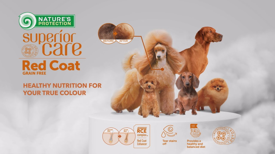 Video NATURE'S PROTECTION SUPERIOR CARE dry grain free food for adult dogs of all breeds with red coat, with salmon 4 kg - 2