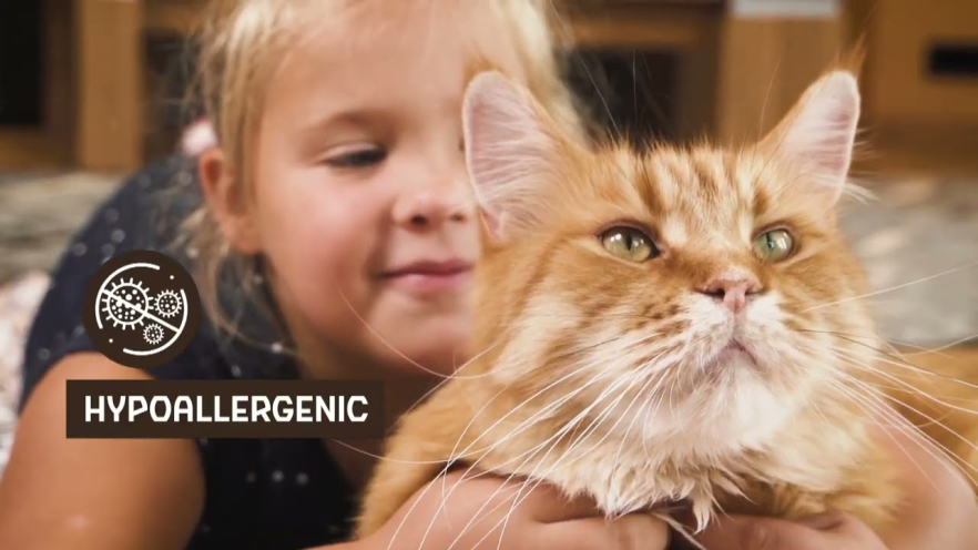 Video NATURE'S PROTECTION LIFESTYLE dry grain free food for kittens with salmon 400 g - 1