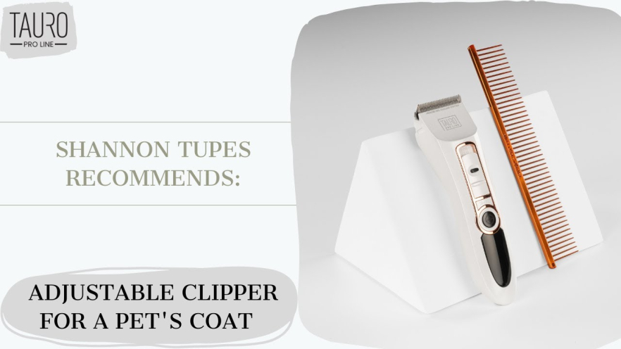 Video TAURO PRO LINE professional hair clipper for pets with plug - 1